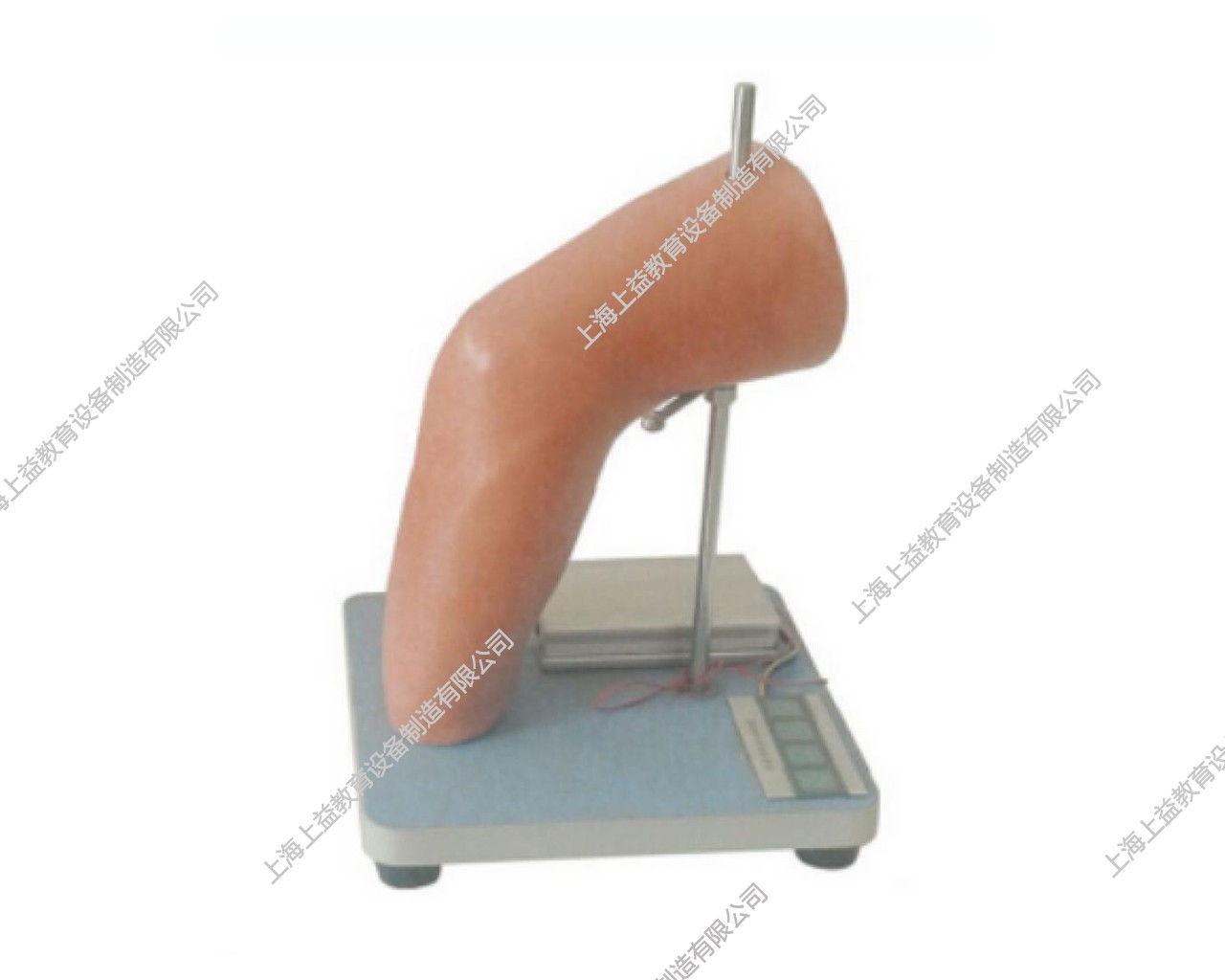 SG7102	高級(jí)電子肘關(guān)節(jié)腔內(nèi)注射模型